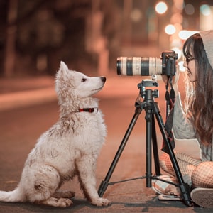 Услуги фотографа