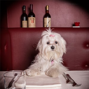 Френдли зоны