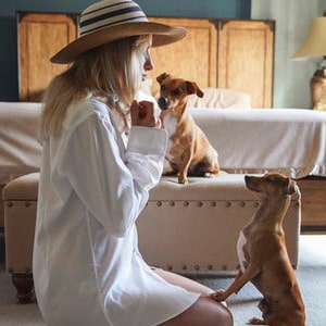 Зоопсихология